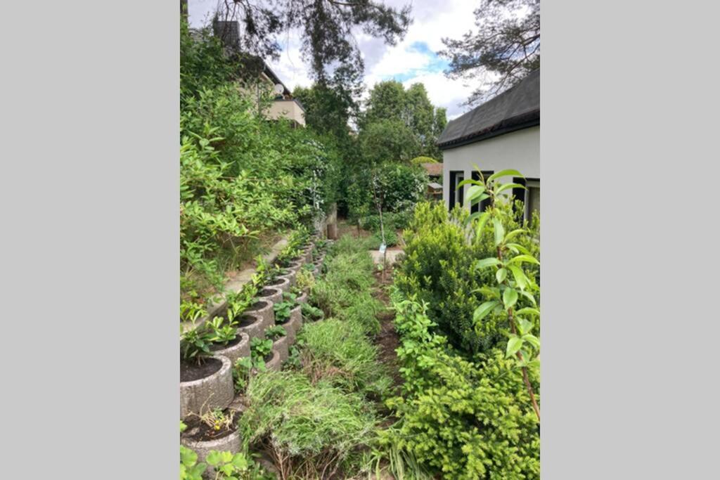 Vakantiehuis Garden - Welcome To