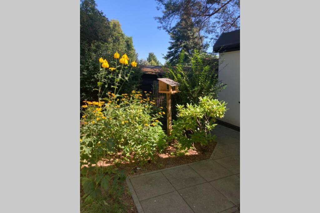 Garden - Welcome To Ferienhaus *