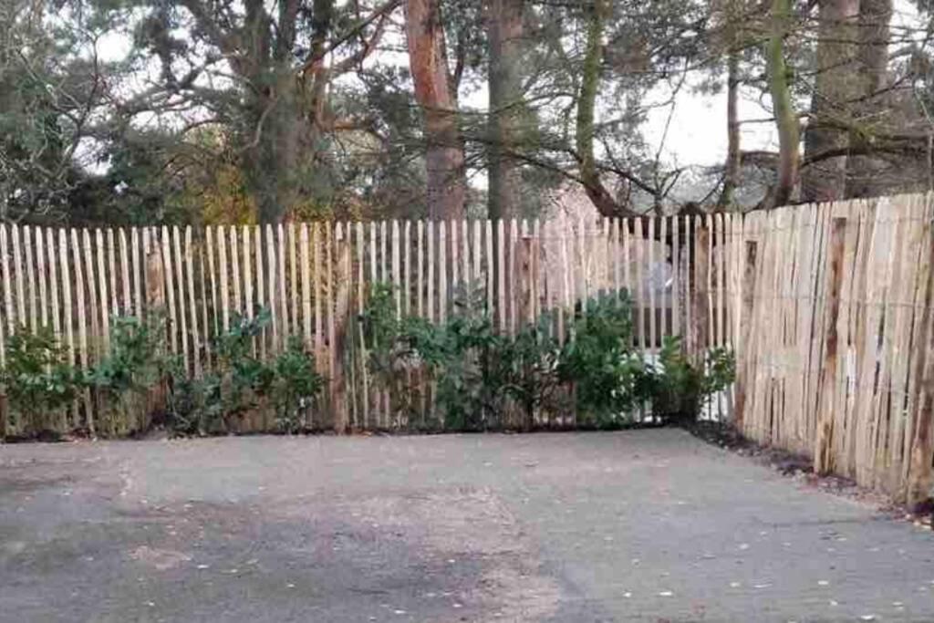 Garden - Welcome To Ferienhaus Berlin